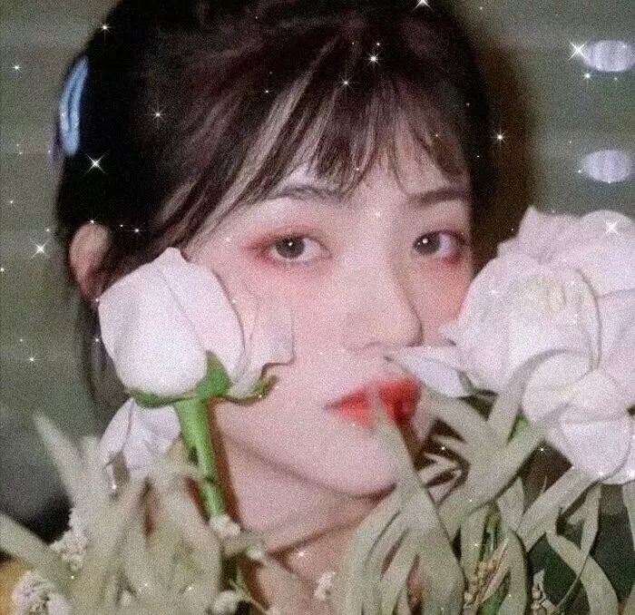 愉悦的知识